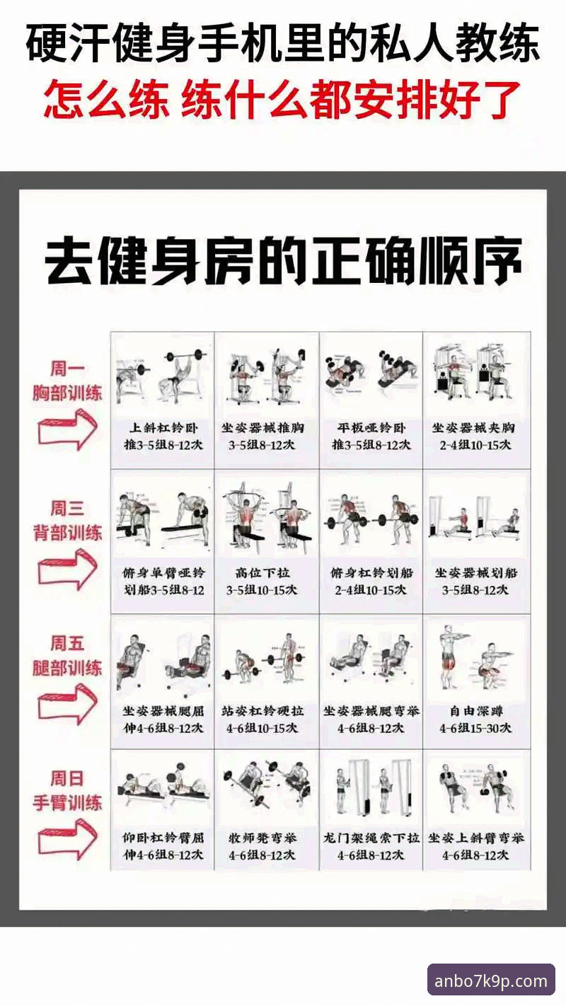 2026安博体育使用教程：3个核心步骤与5项关键技巧解析